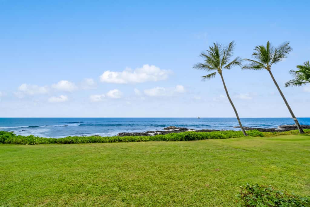 Kona Reef D-14