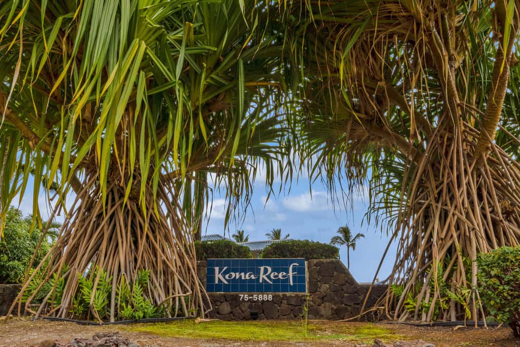 Kona Reef D-14