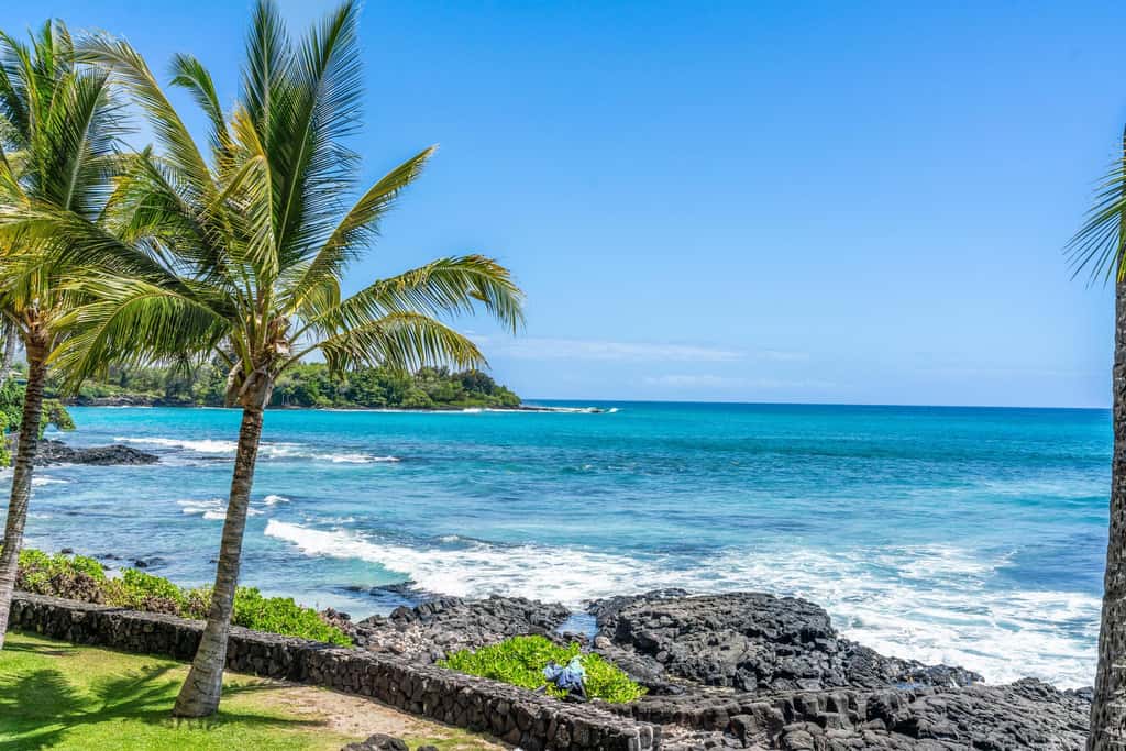 Kona Bali Kai #206