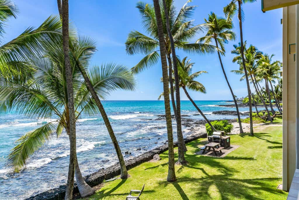 Kona Bali Kai #206