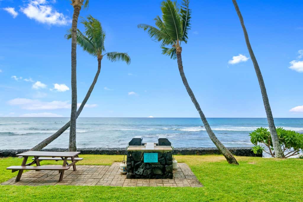 Kona Bali Kai #206