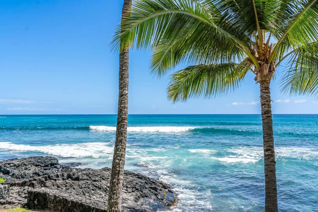Kona Bali Kai #206