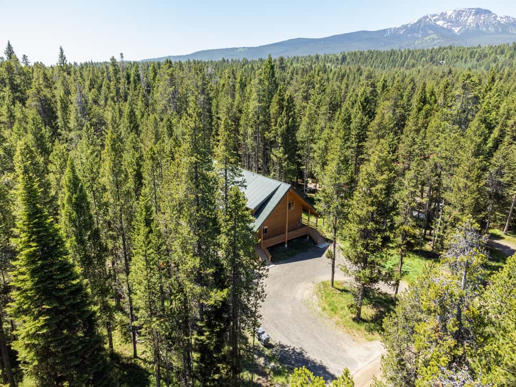Yellowstone Escape
