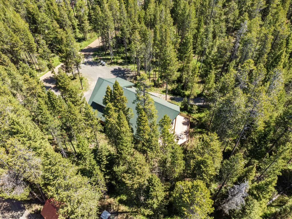 Yellowstone Escape