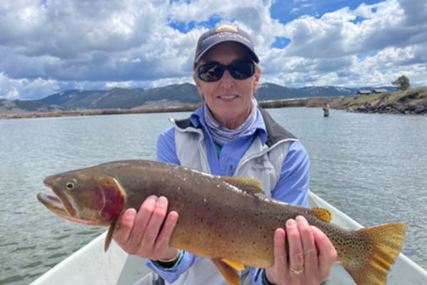 Mayfly Meadow | Pet-Friendly Fishing Cabin + Fire Pit | 30 Min to Yellowstone