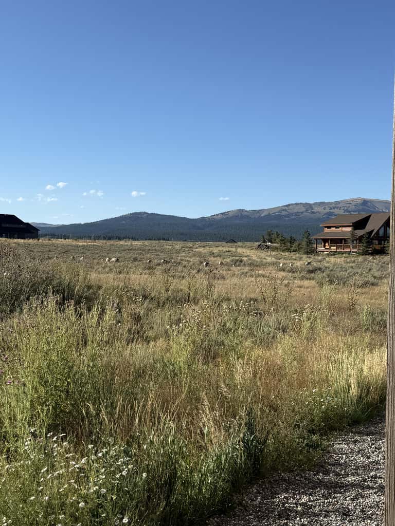 Mountain Side Manor