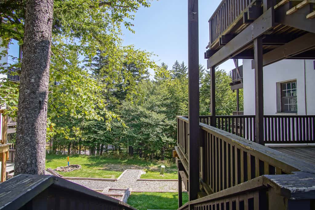 4 Br:   Whistlepunk 18