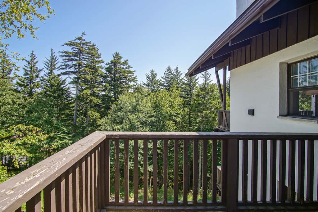 4 Br:   Whistlepunk 18