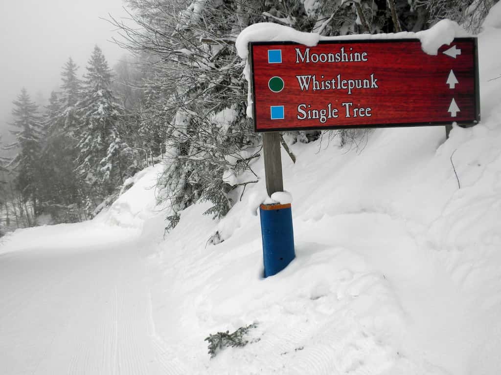4 Br:   Whistlepunk 12