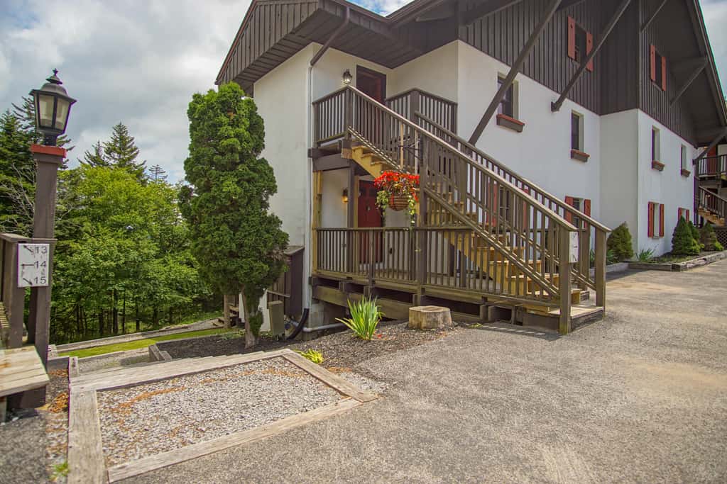 4 Br:   Whistlepunk 12