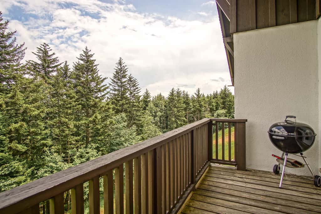 4 Br:   Whistlepunk 12
