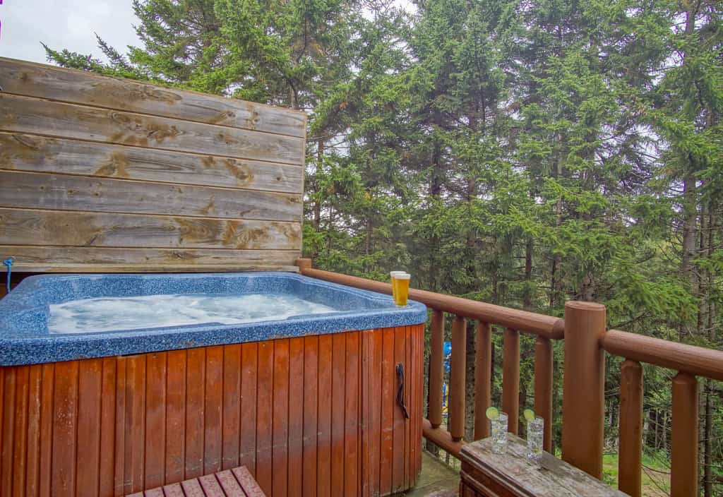 Loggers Run #8: Hot Tub, 5 BR, 3.5 BA