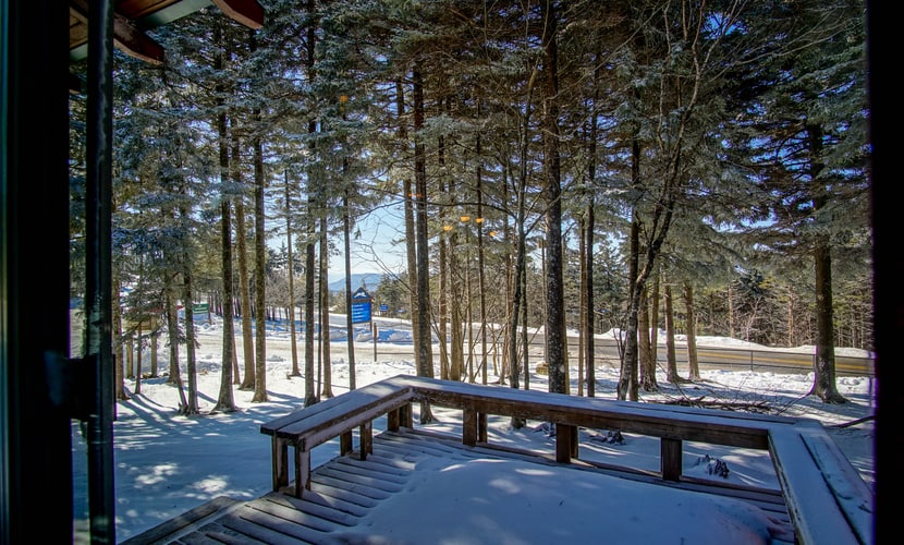 Powder Monkey 2, 2 Bedrooms Plus Sleeping Loft, 2 Full Baths, Slope Side, Gas Fireplace