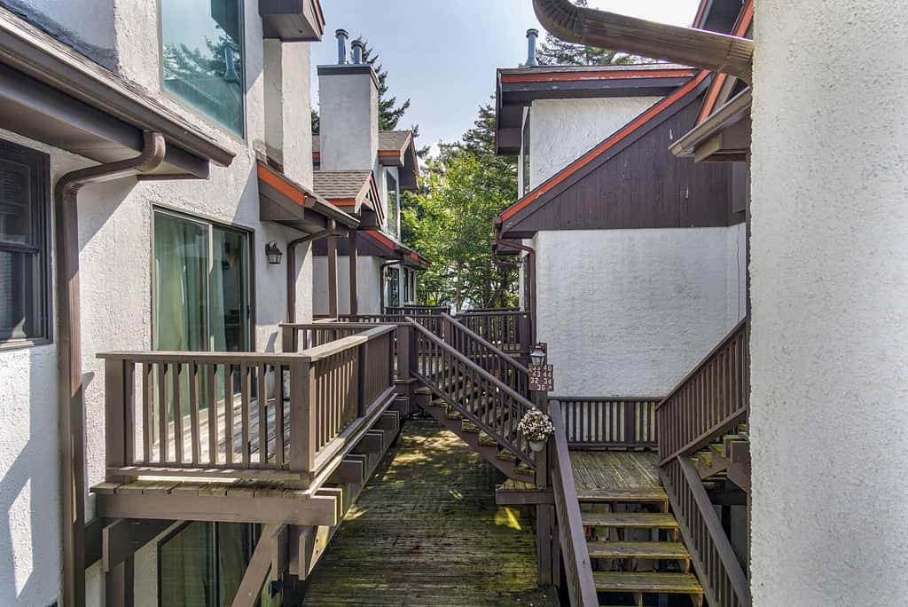 1 Br Plus Loft: Whistlepunk 36