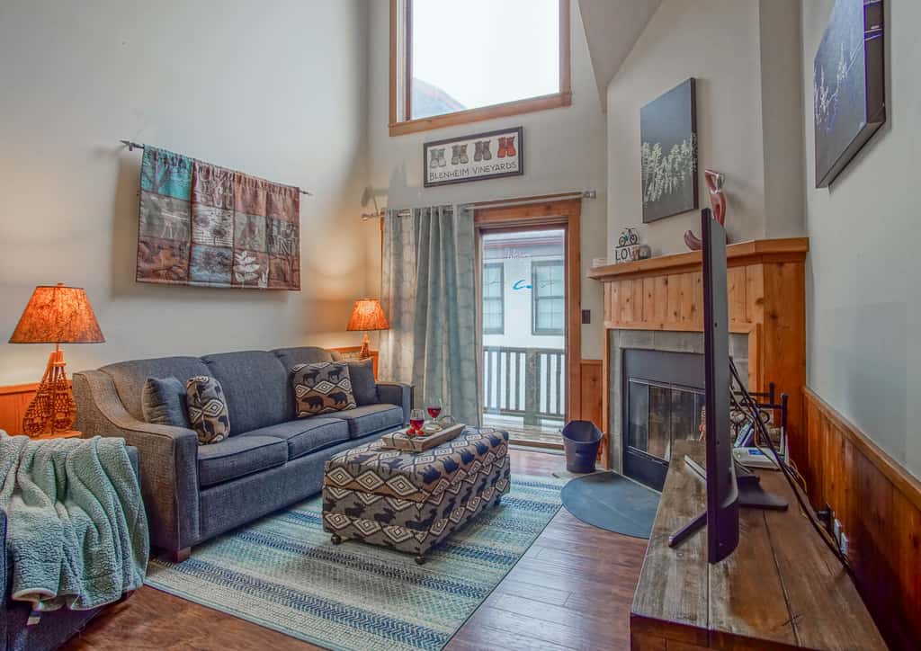 1 Br Plus Loft: Whistlepunk 36