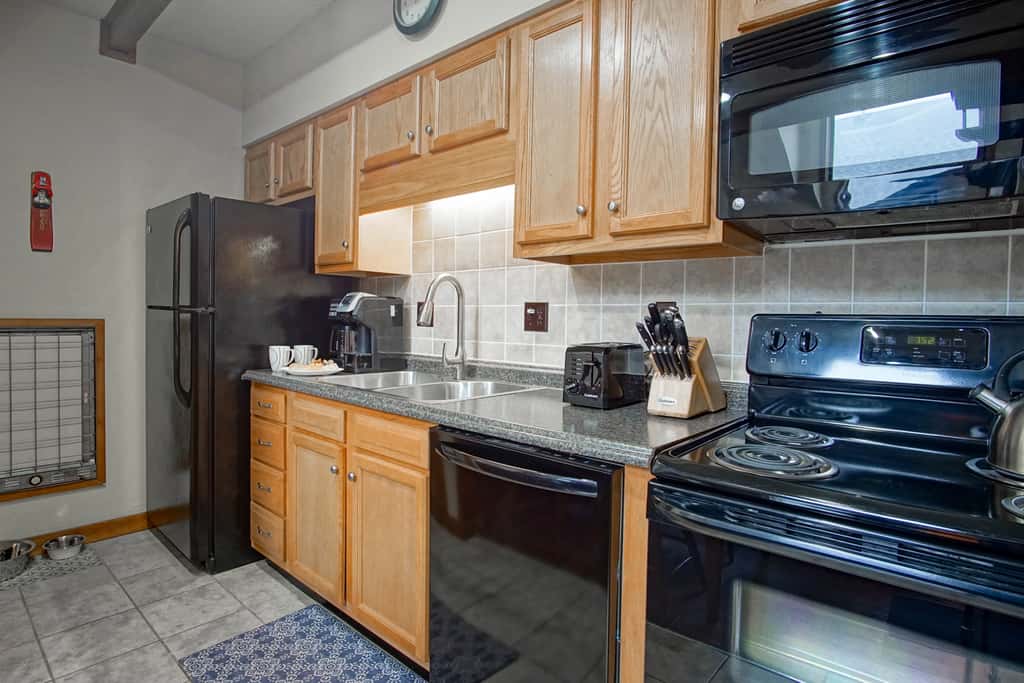 1 Br Plus Loft: Whistlepunk 36