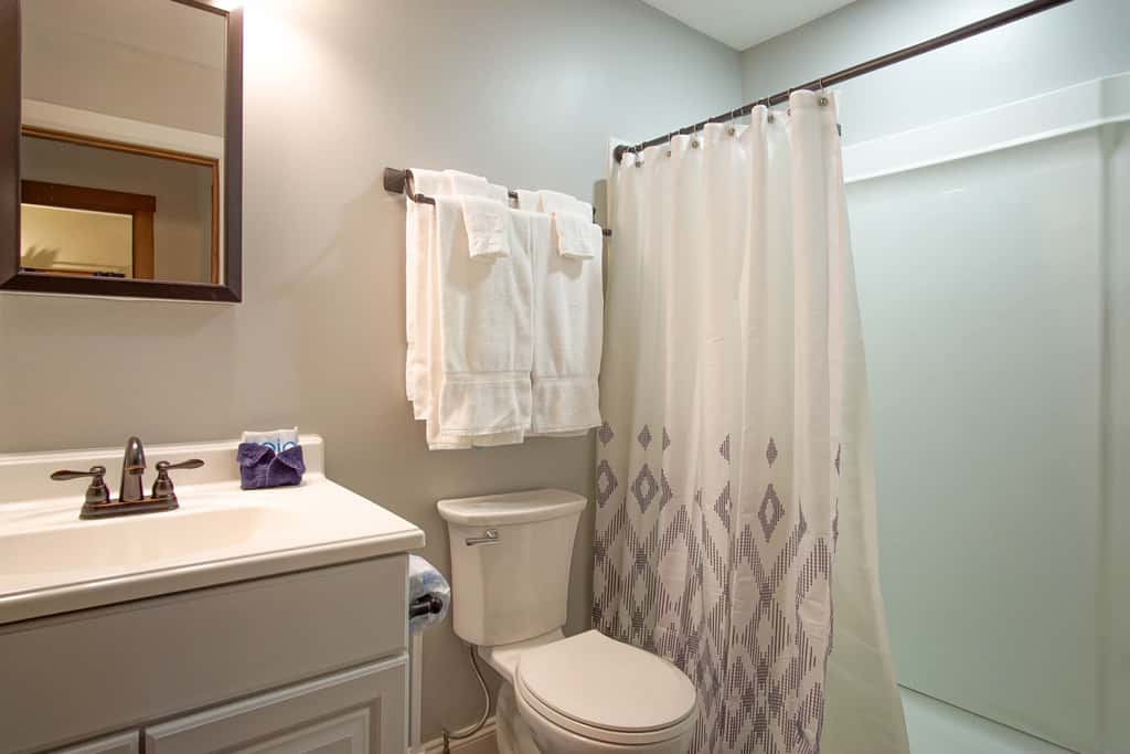 1 Br Plus Loft: Whistlepunk 36