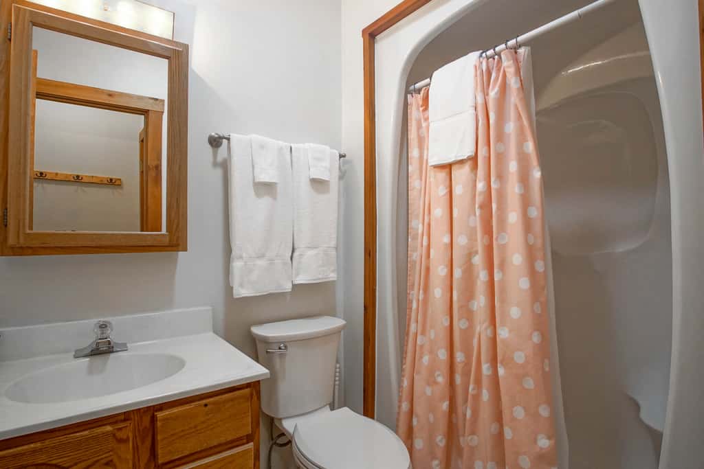 1 Br Plus Loft: Whistlepunk 36