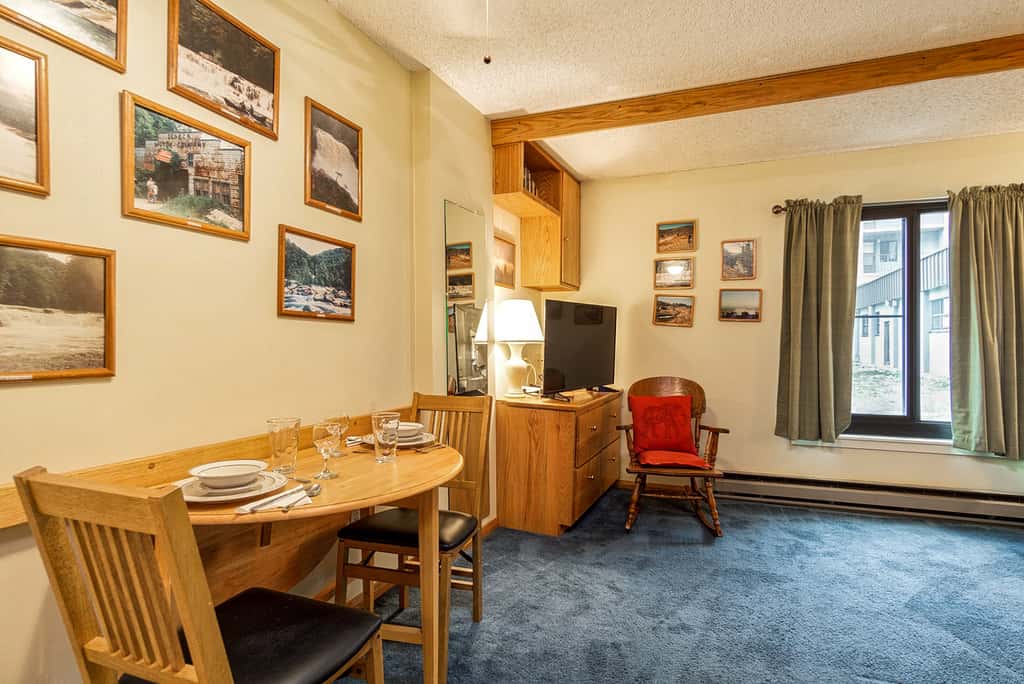 1 Br Studio: Silver Creek 1104