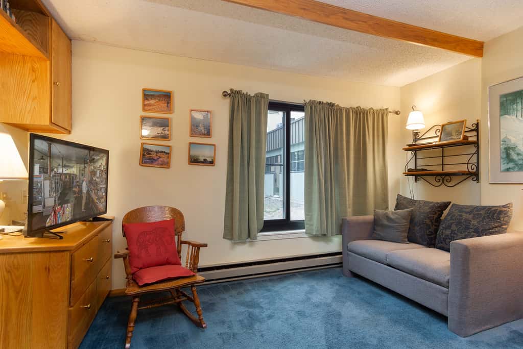 1 Br Studio: Silver Creek 1104