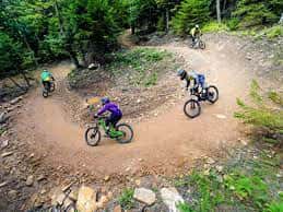 2 Br: Allegheny Springs 201-203
