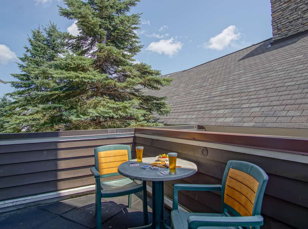 Allegheny Springs  201 : 2 Bedroom, 2 Full Bath: Slope Side; Gas Fireplace