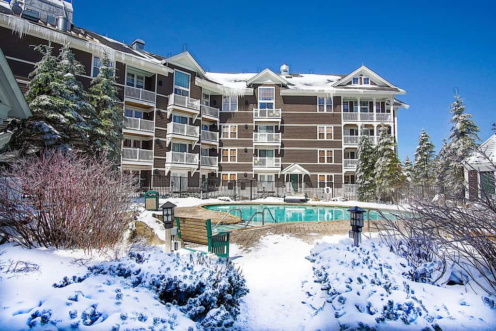 Ski In/Out! 1 Bed 1 Bath Slope Views Allegheny Springs 238