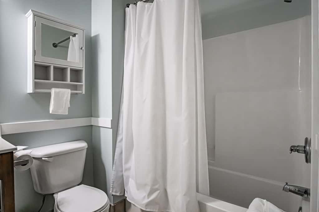 1 Br Jr Studio: Allegheny Springs 414