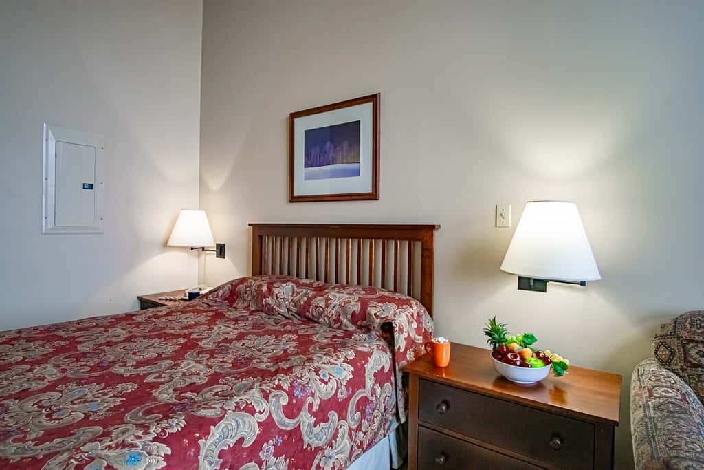 1 Br Jr Studio: Allegheny Springs 414