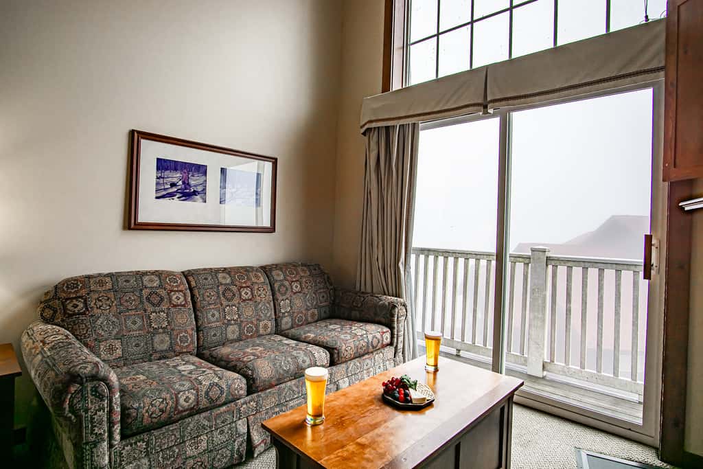1 Br Jr Studio: Allegheny Springs 414