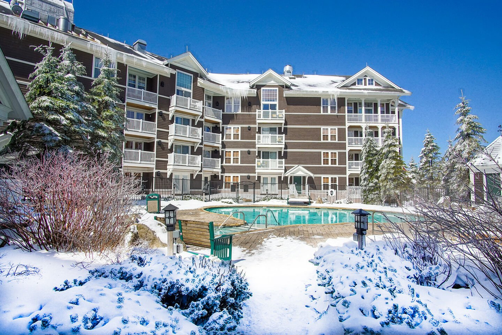 1 Br Jr Studio: Allegheny Springs 414