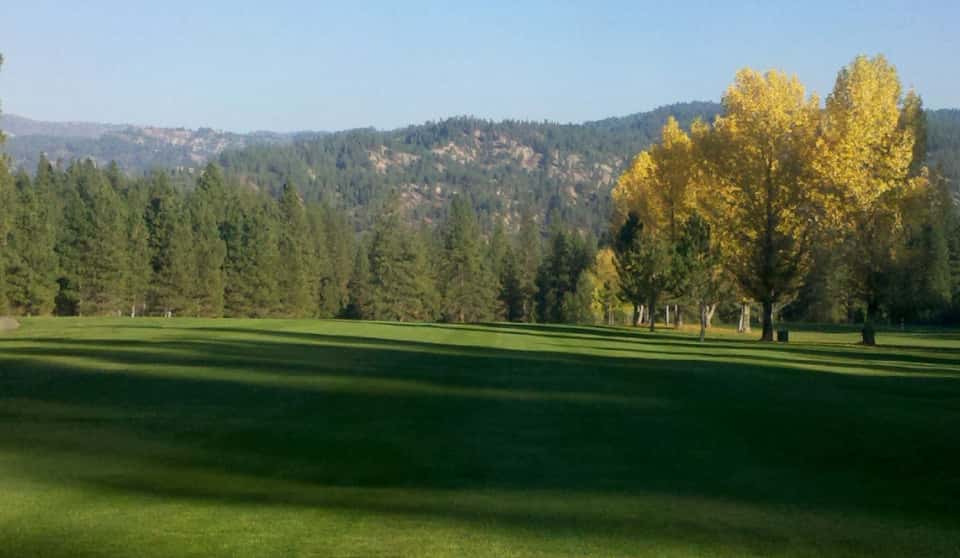 Golfer`s Delight
