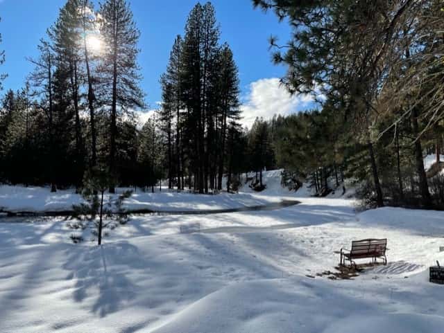 Lone Pine Place