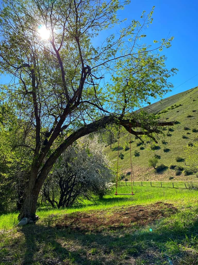 Southfork Hideaway