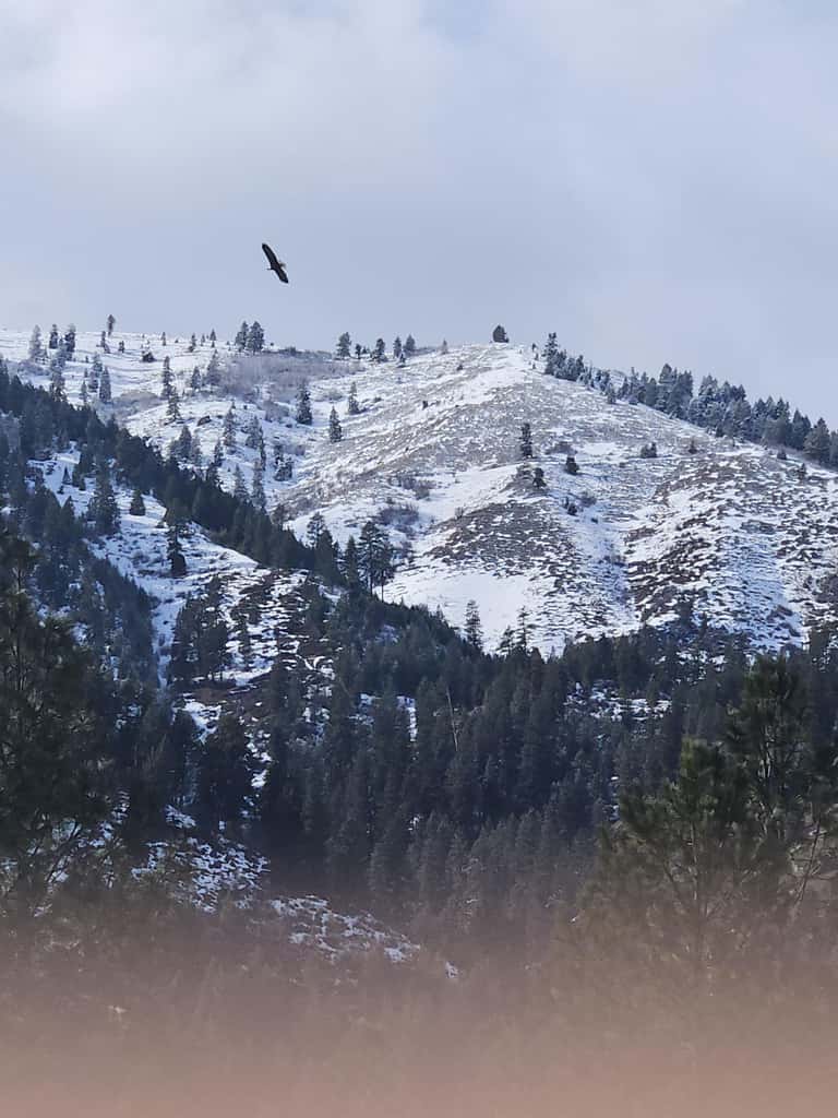 Eagle River Lodge
