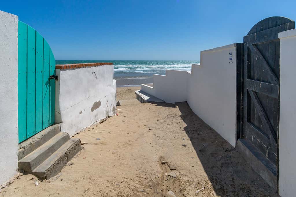 Estrella del Mar