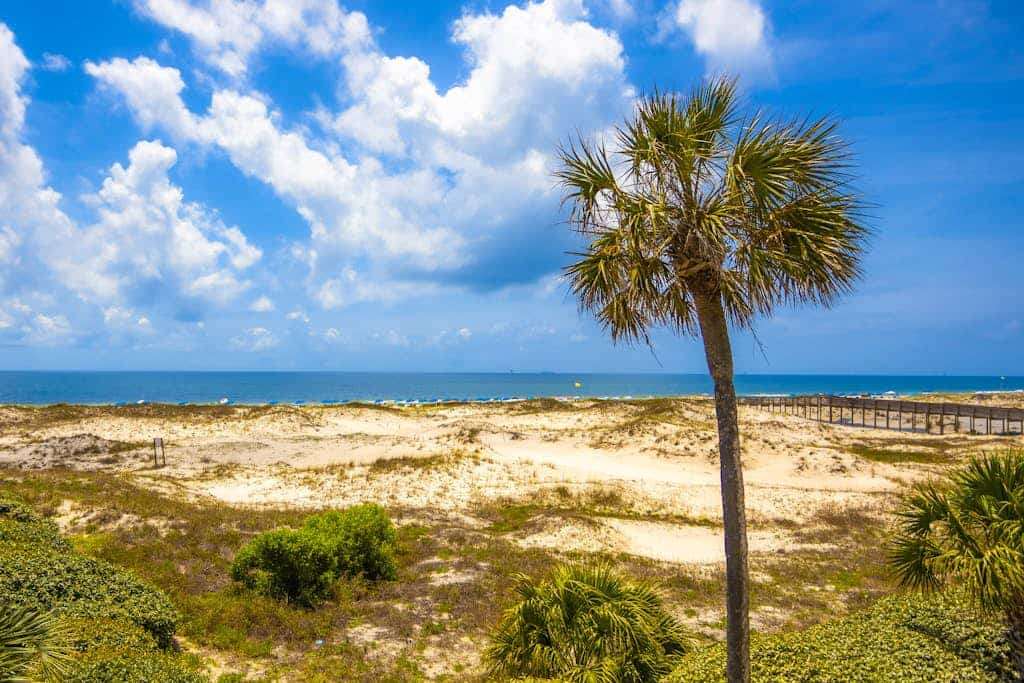 Plantation East #1201