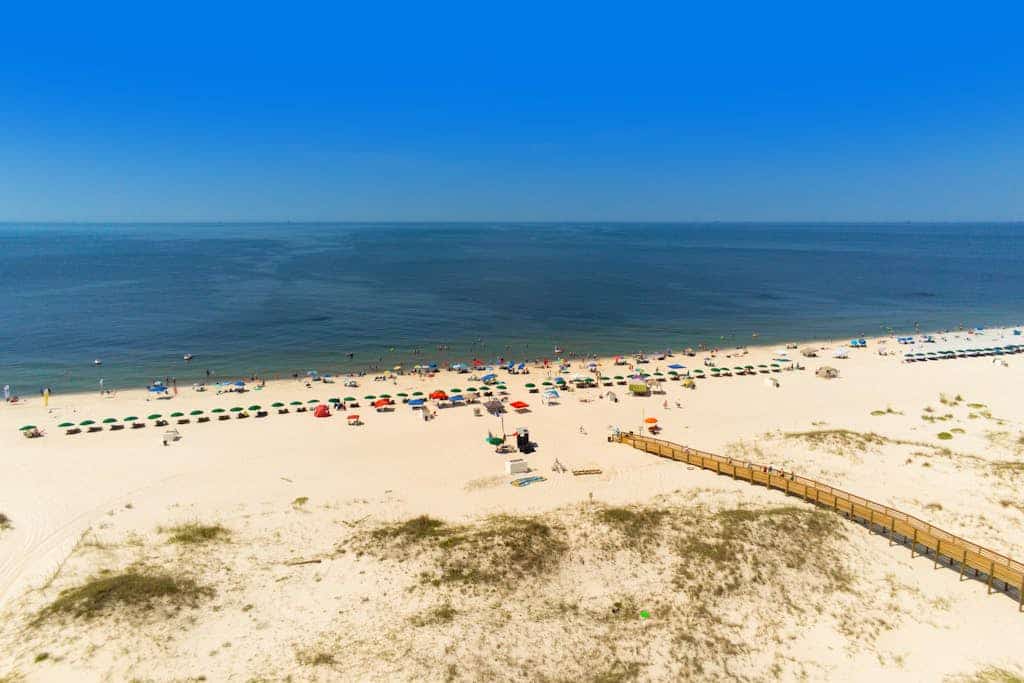 Plantation Dunes #5716