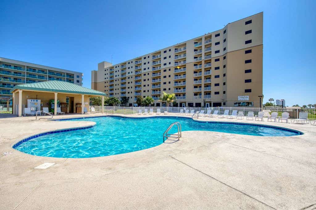 Plantation Palms #6301