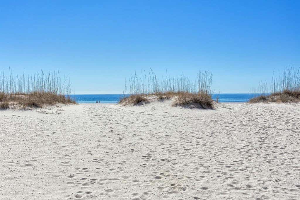 Ocean Reef 502