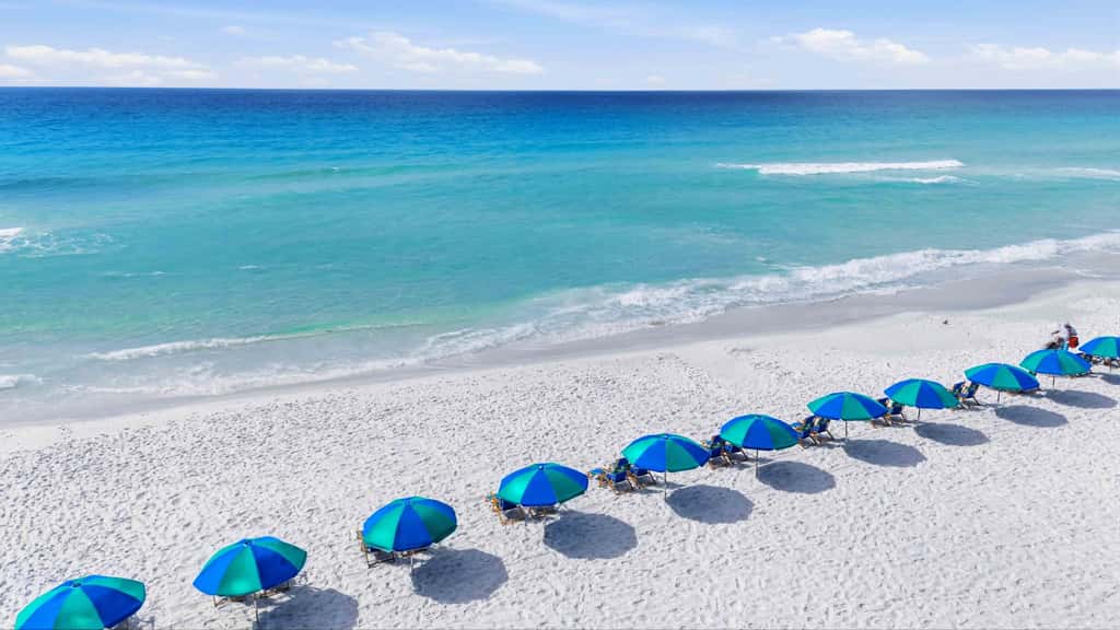 Newly Remodeled Studio with King Bed, Queen Sleeper Sofa, and Full Kitchen - Walk to the Beach, With Beach Service Included