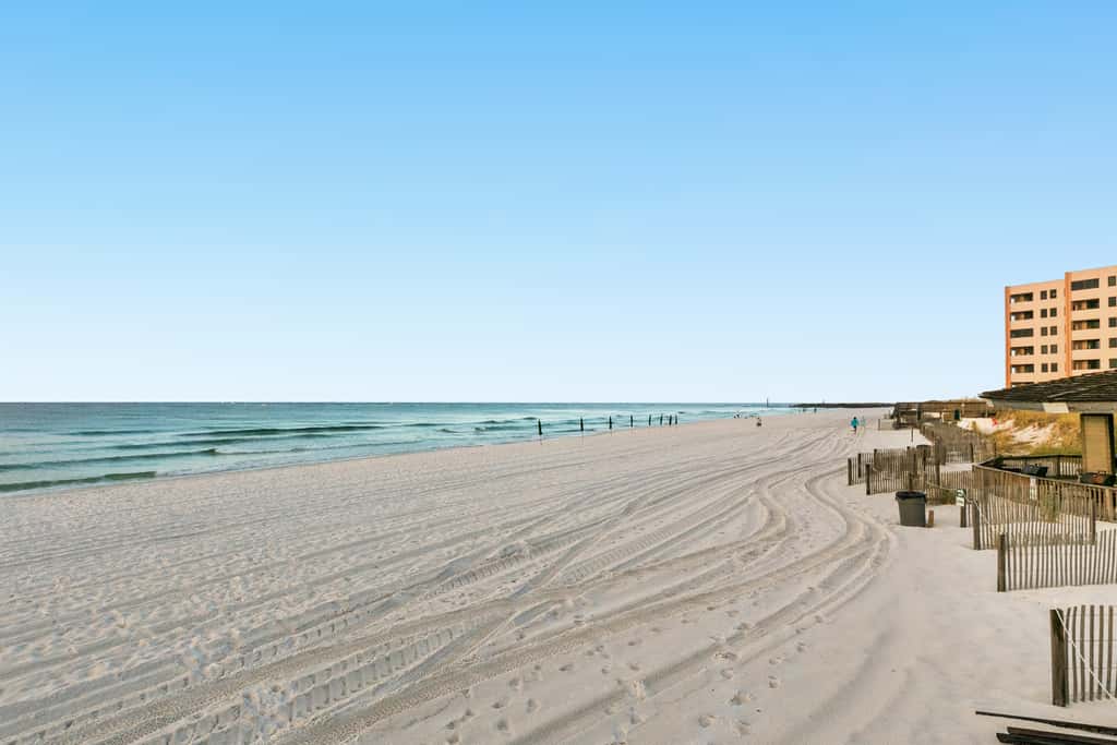 Jetty East 306B