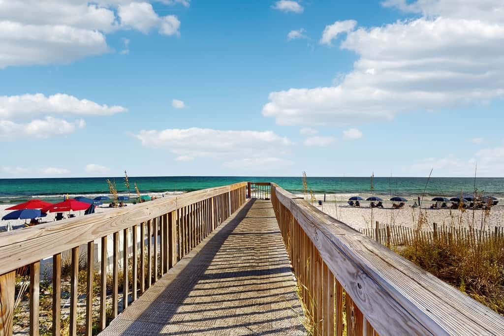 Jetty East 306B