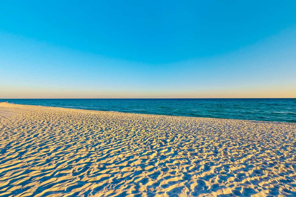 Oceanfront condo with shared pool & patio, open layout, W/D, & AC
