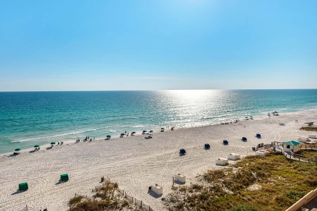8th Floor Gulf Front Condo Fun Amenities, Nearby Shopping & Dining