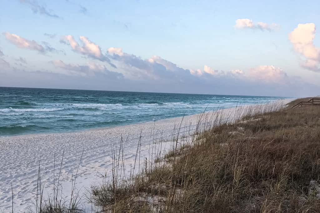 Beachfront condo, shared pool, large balcony and beach access