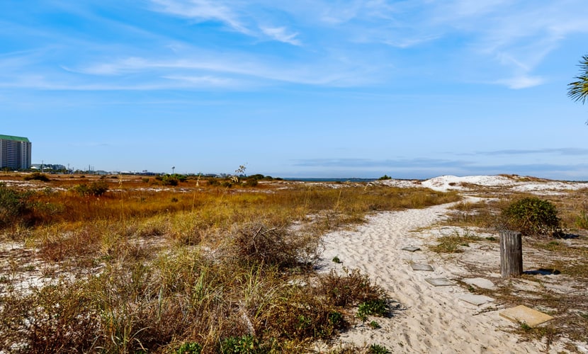 Gulf Island Condo 523