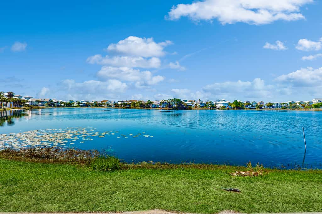 Gorgeous coastal home with plenty of space shared pool and easy beach access