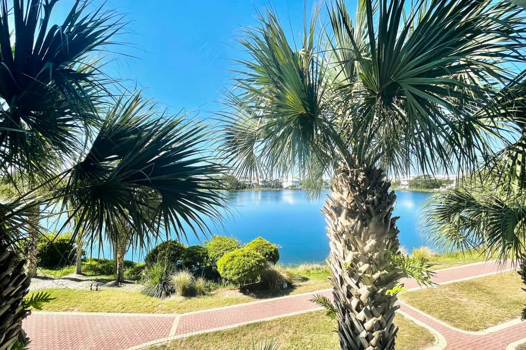 Upscale condo with pools, private beach access, hot tubs & tennis - dog-friendly