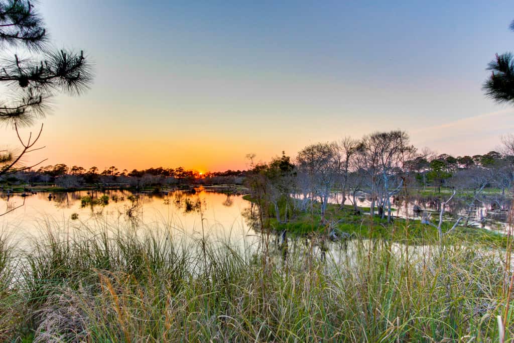 Gulf-front condo with beautiful sunset views, pool, tiki bar, fitness room & W&D